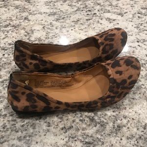 Cheetah Flats